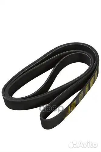 Ремень поликлиновой 10PK2495 Scania Truck Z23043