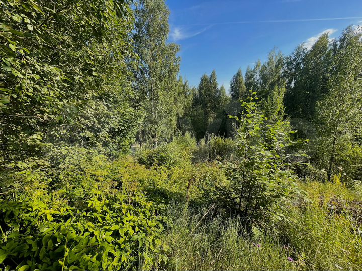 Участок 16 сот. (ИЖС)