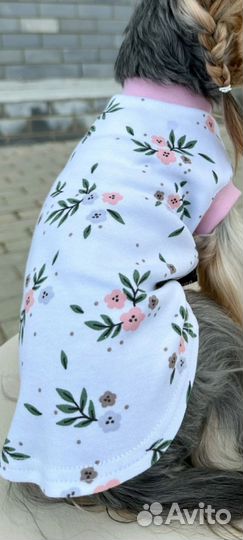 Маечка для мелких собак