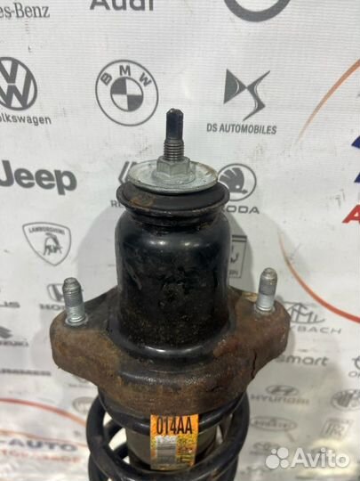 Амортизатор задний Dodge Caliber SUV 2.0 ECN 2006