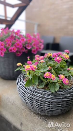 Цветочные Кашпо для летних террасс