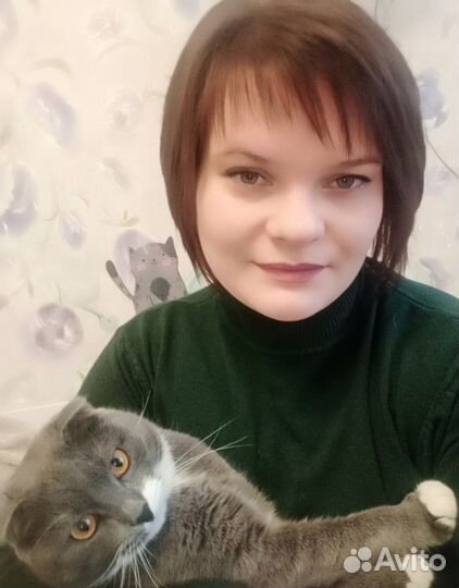 Оператор на удаленку
