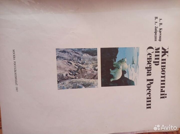 Животный мир севера России книга