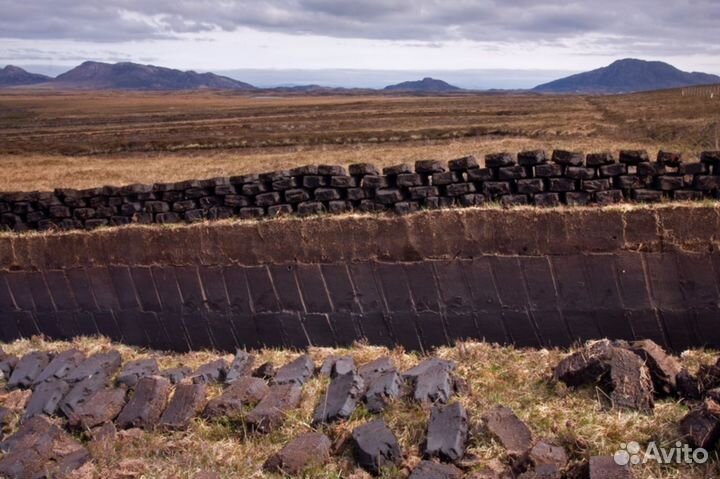 Торф от производителя