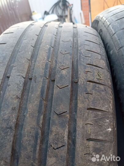 Continental ContiChampionContact 205/55 R17