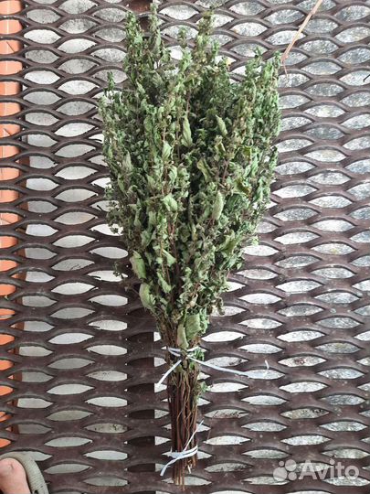 Травы для бани в пучках