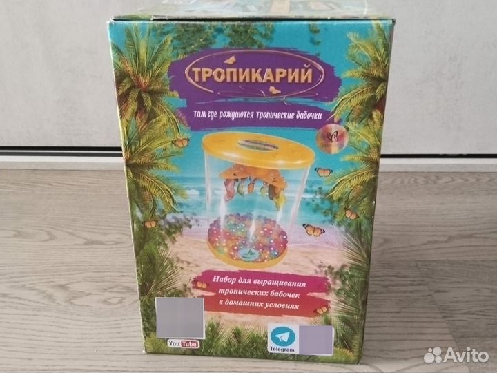 Бабочкарий