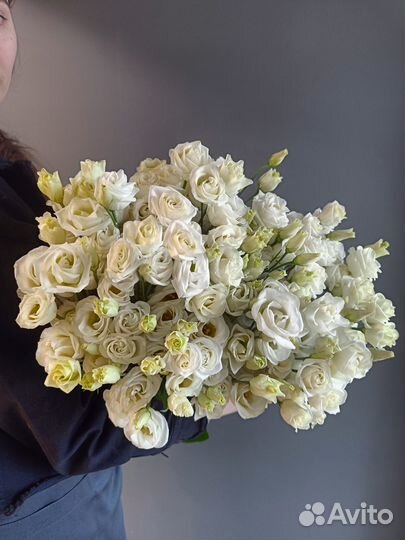 Эустома Букет эустом 3 5 9 11 25 31 шт