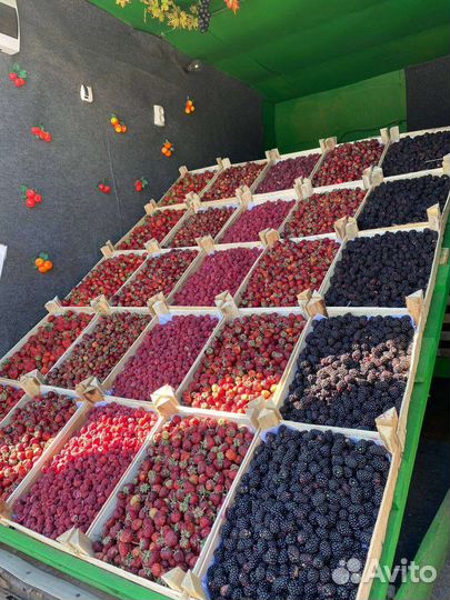 Клубника малина