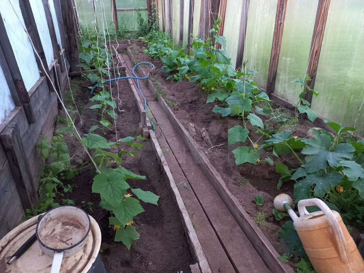 Участок 25 сот. (ИЖС)