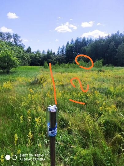 Участок 18 сот. (ИЖС)