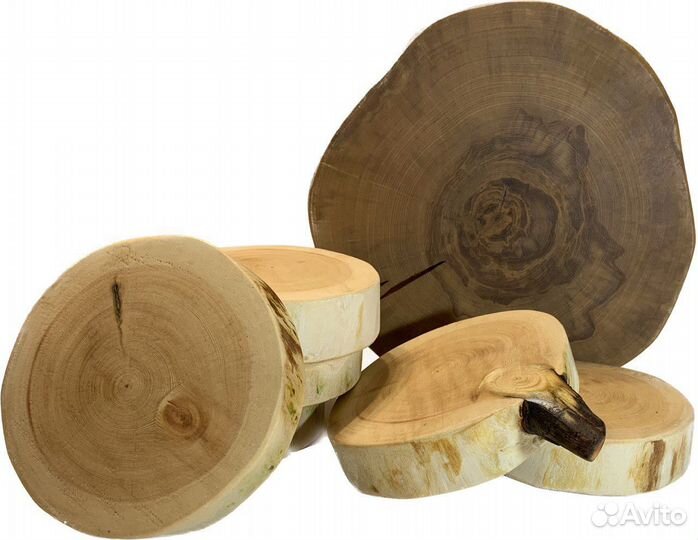 Спилы из дерева