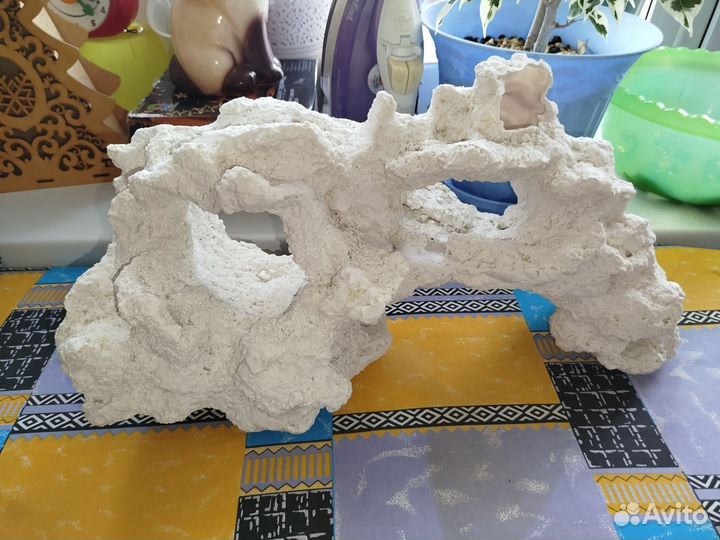 Коралл в аквариум