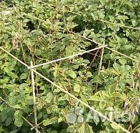 Опоры для растений стеклопластиковые