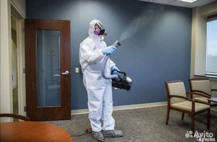 Уничтожение клопов тараканов мышей блох муравьёв