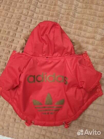 Одежда для собак мелких пород