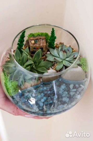 Цветы подарок флорариум