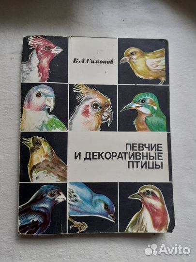 Певчие и декоративные птицы