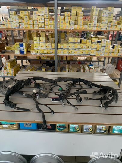 Проводка Nissan Teana J32 QR25DE CVT двс