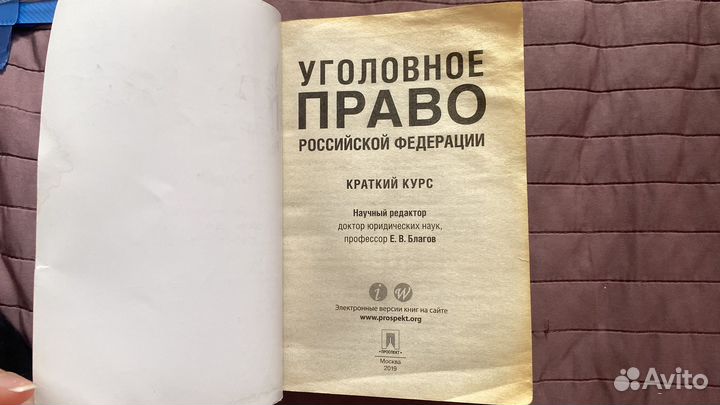 Уголовное право краткий курс Е.В. Благов