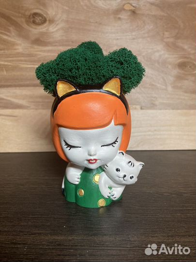 Кашпо с мхом стабилизированным