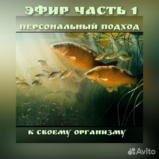 Диета Меню пп на месяц Нутрициолог