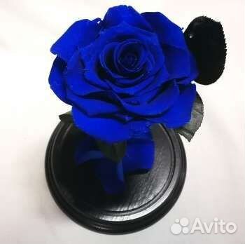 Синяя роза в колбе, бутон 12-14 см, арт 32