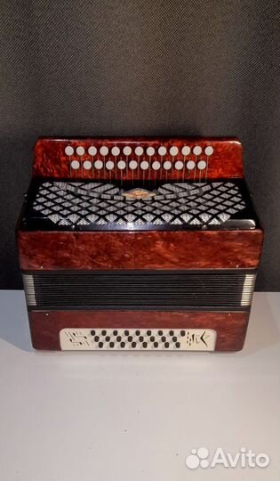 Гармонь Шуйская Чайка2