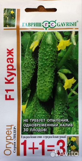 Огурцы оптом семена кураж