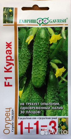 Огурцы оптом семена кураж