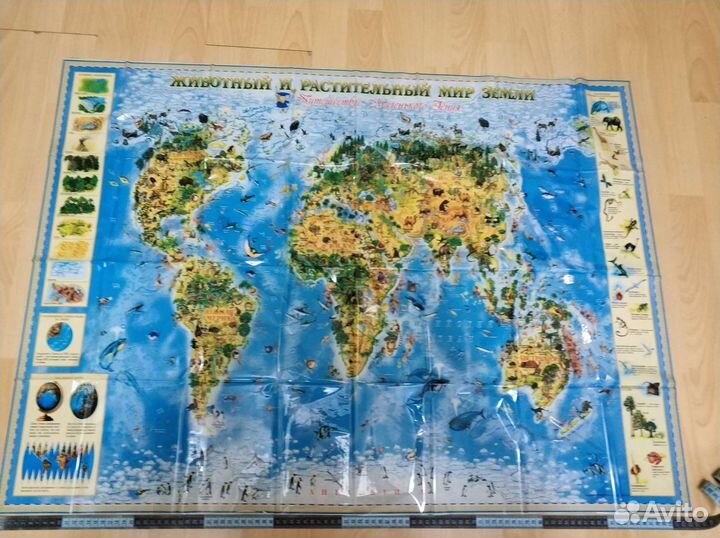 Карты для детей 103*75 см. Политическая и др