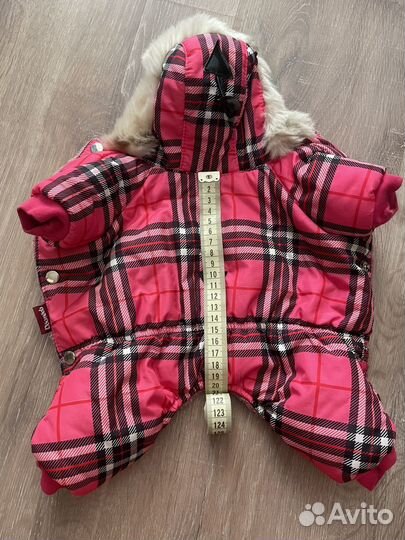 Одежда для маленьких собак