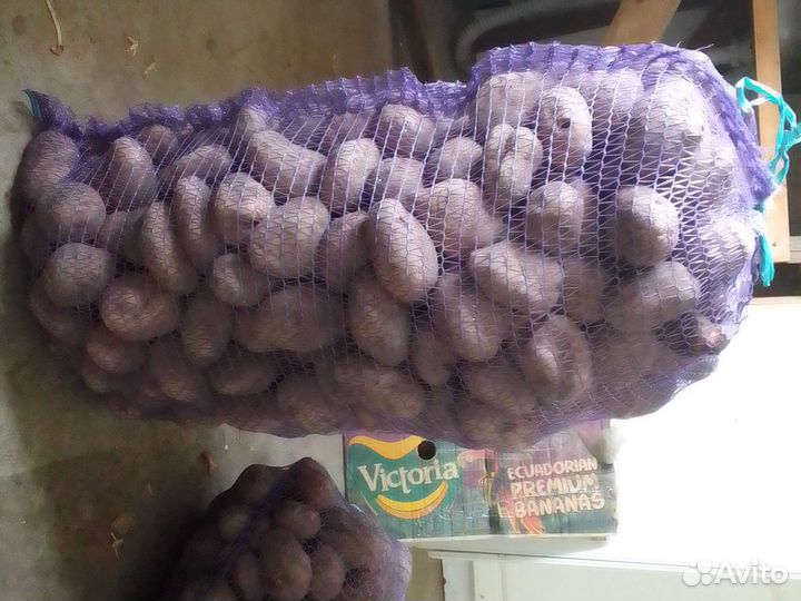 Продам картофель с доставкой