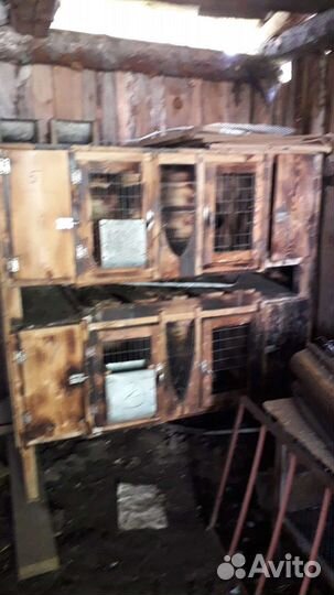 Клетки для кроликов бу