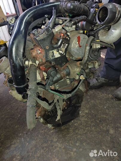 Двигатель Опель Астра Н 1.3 DTH