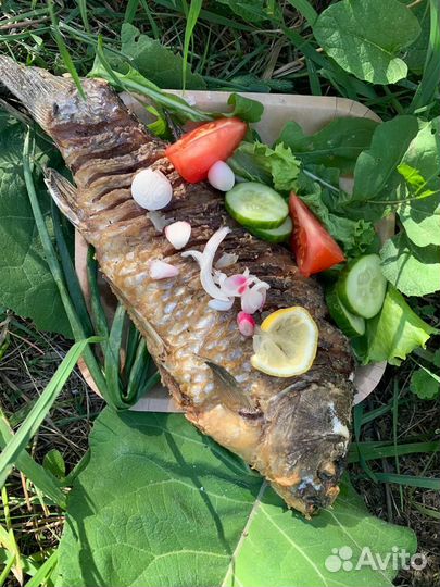 Индивидуальные туры Алтай