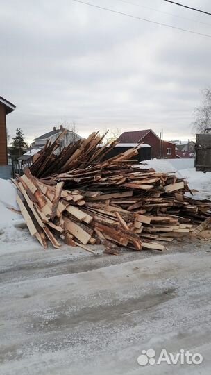 Горбыль хвойный бесплатно