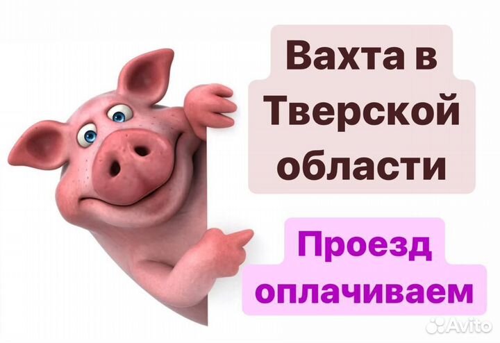 Работа вахтой. Упаковщики Тверь