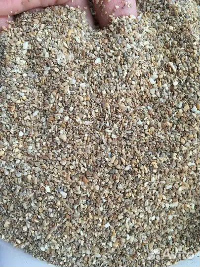 Ракушка кормовая