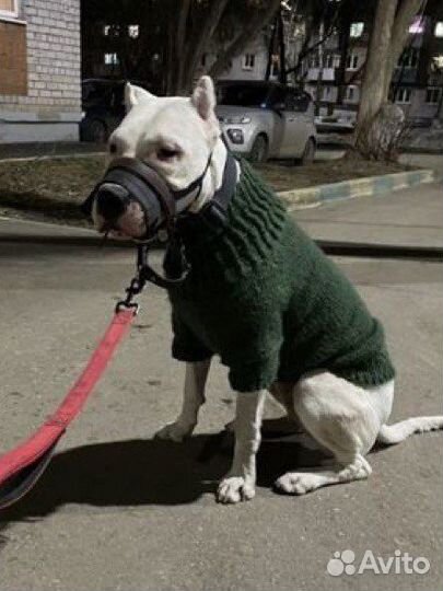 Свитер для собак любых размеров