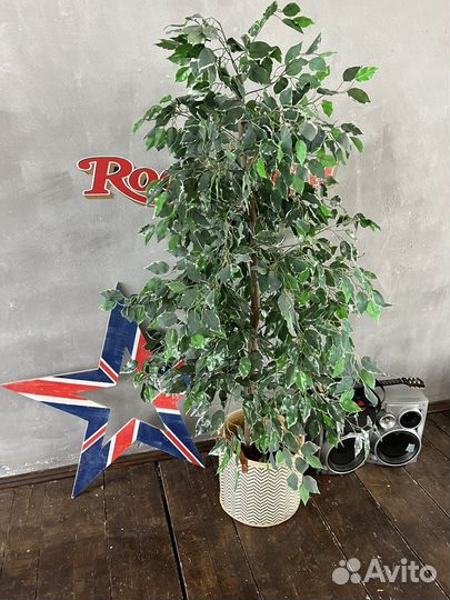 Искусственное дерево фикус