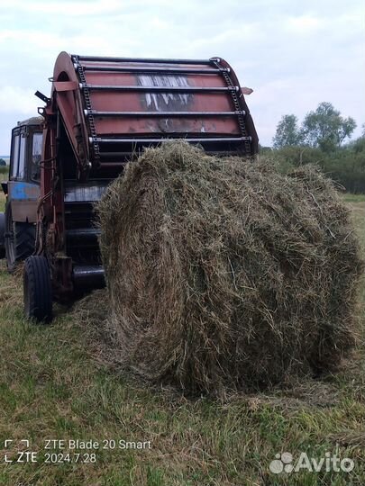 Сена в тюках