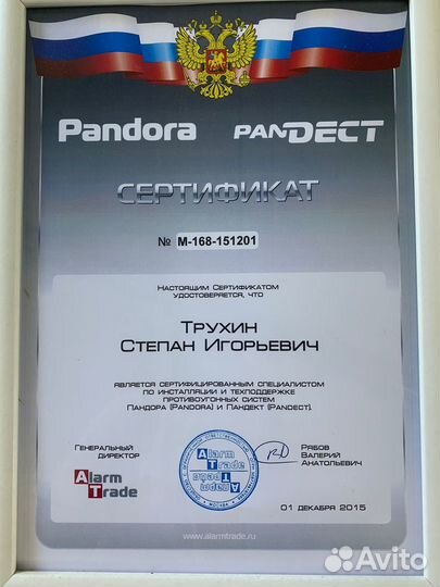 Pandora VX4G