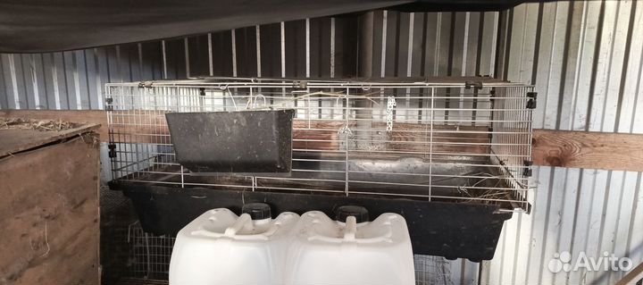 Клетки для кроликов бу можно для другой живности