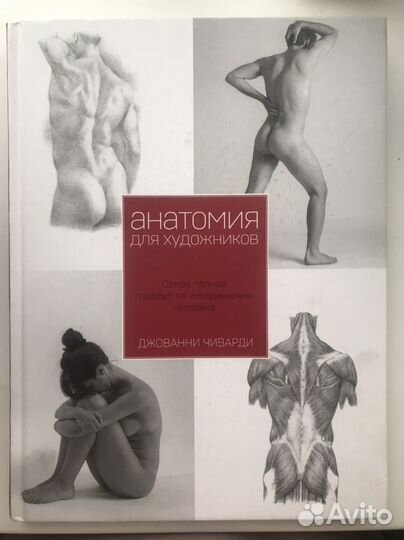 Анатомия для художников Джованни Чиварди книга