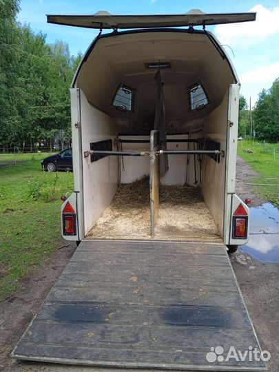 Перевоз лошадей