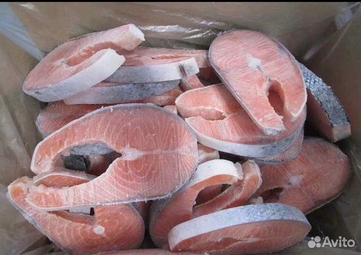 Лосось атлантический свежее поступление беспл