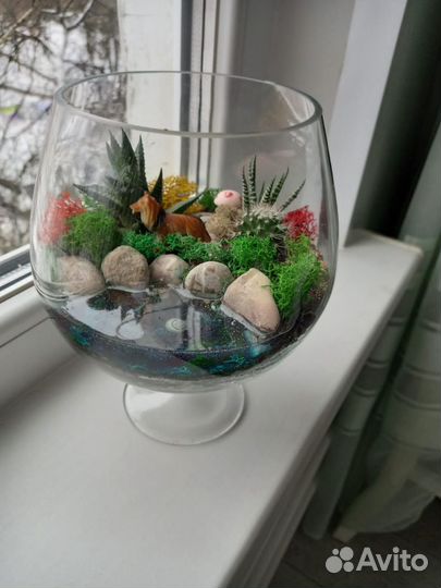 Флорариумы, моссариумы, подарки