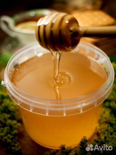 Мед оптом