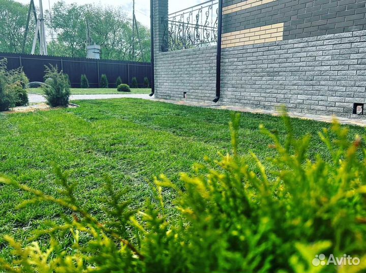 Рулонный газон